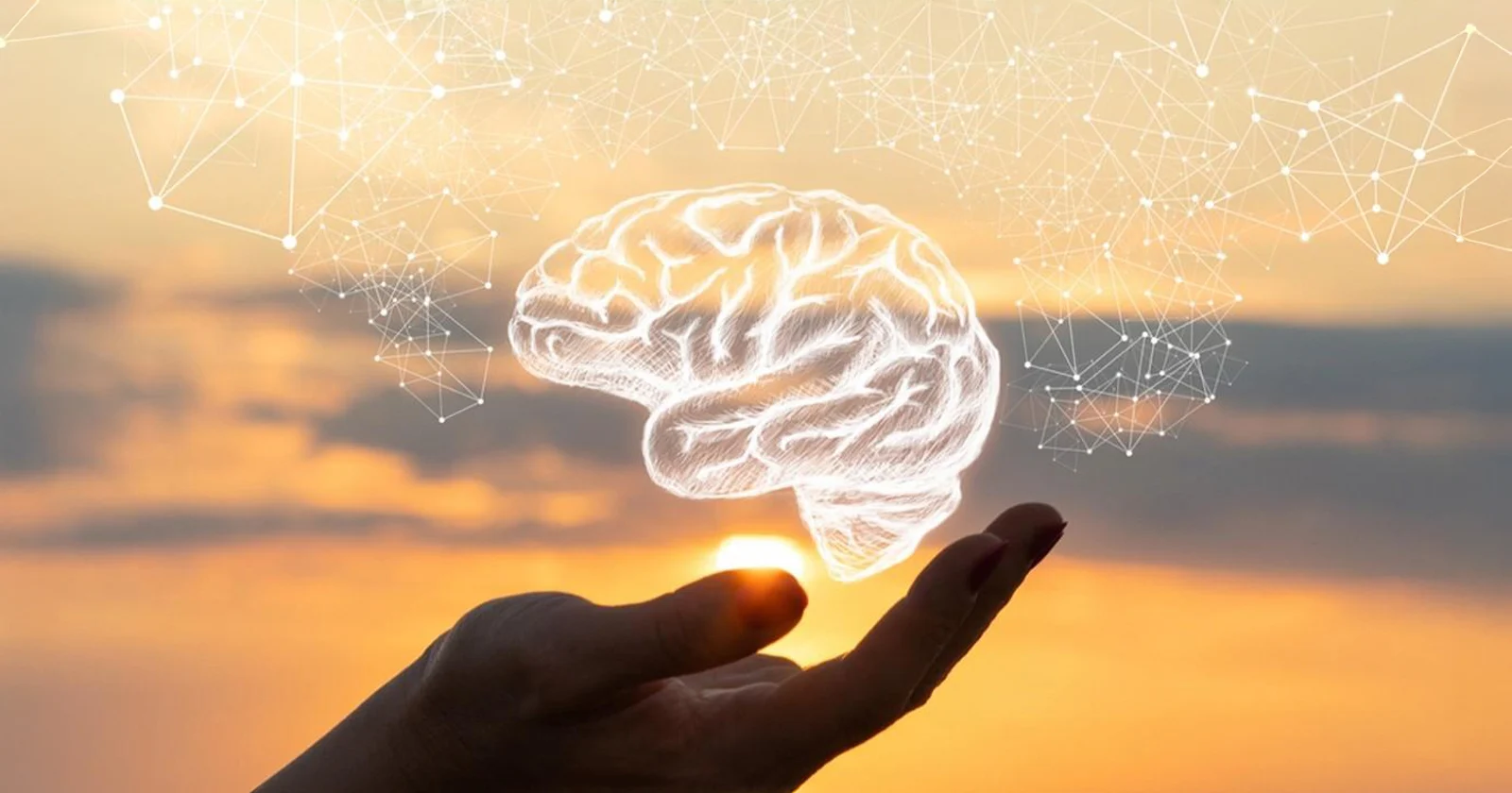 Programação Neurolinguística Aplicada no Quotidiano